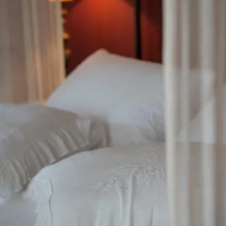 Leconvertite Treviso